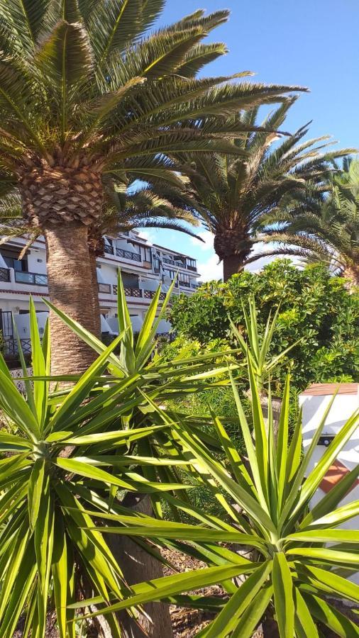 Flat Apartment Costa Del Silencio Bagian luar foto